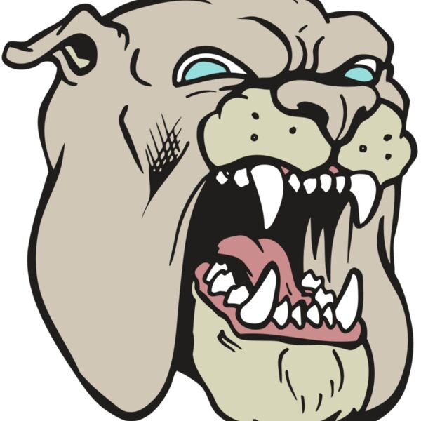 AR BDOG 42 RC Thumbnail