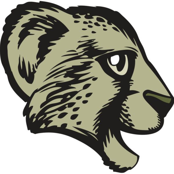 BAW CHEETAH 17 RC Thumbnail