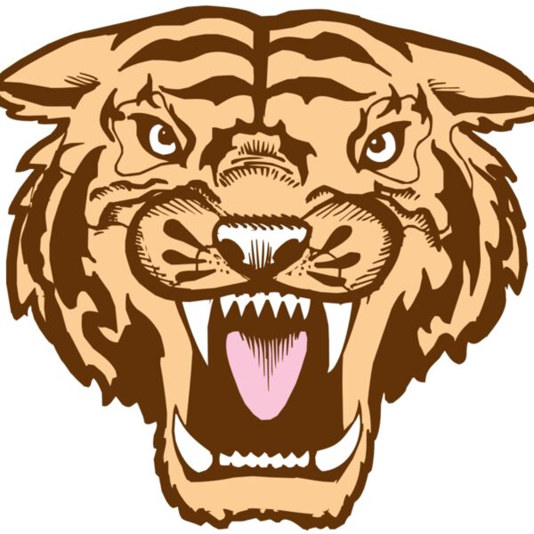 BAW TIGER 05 RC Thumbnail