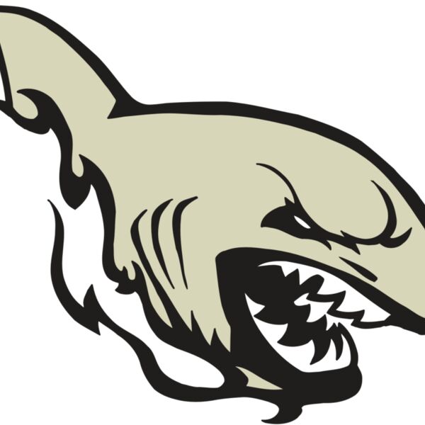 AR5 Shark 08 RQC Thumbnail